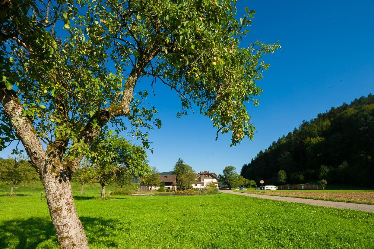 Landgasthof Kinzigstrand Biberach bei Offenburg Exteriör bild